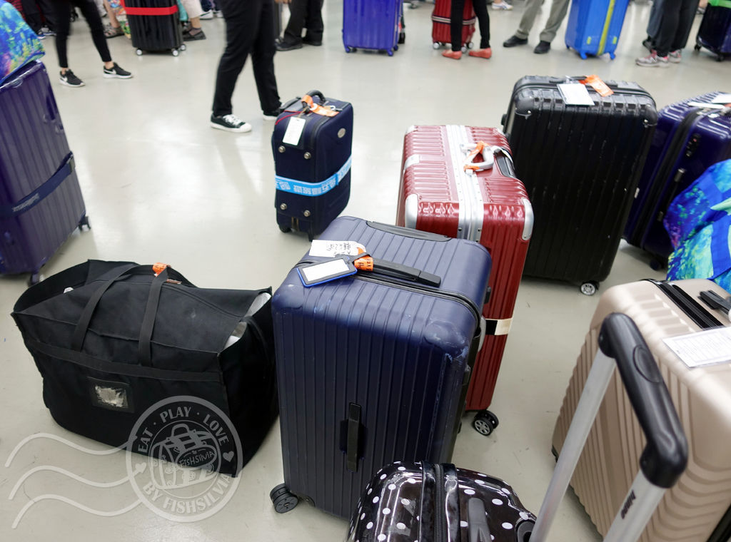 行李箱,行李箱推薦,行李箱品牌,NaSaDen,鋁框行李箱,行李箱29吋,郵輪旅遊,行李箱尺寸,行李箱輪子,行李束帶
