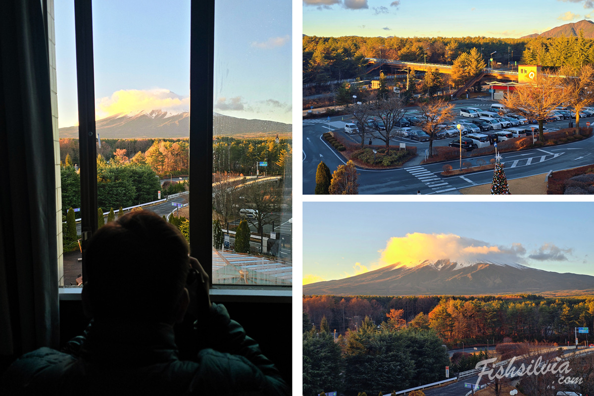 富士急樂園飯店房間窗外富士山景觀