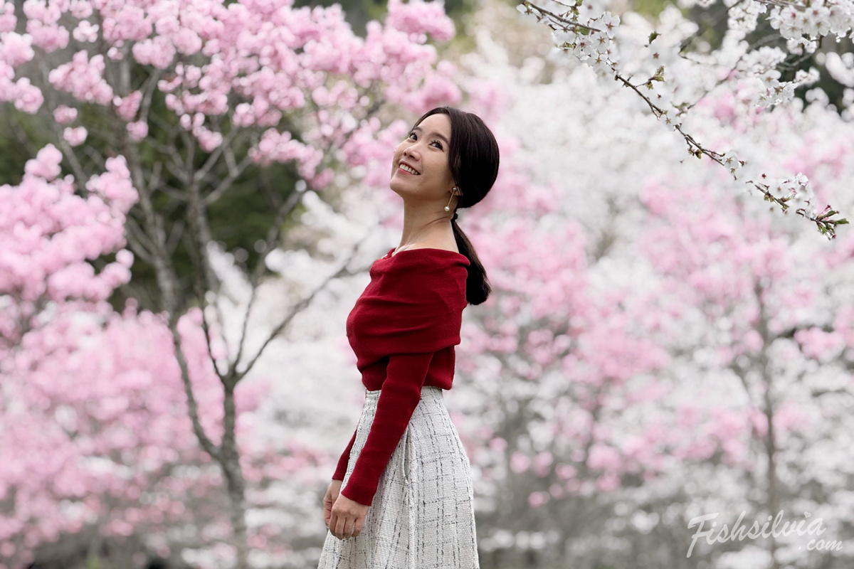 不擠的賞櫻景點：在羅生門公園享受寂靜無人的櫻花森林