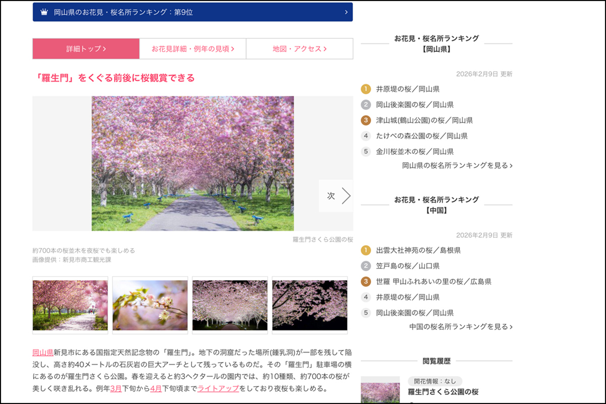 岡山景點推薦：羅生門櫻花公園不擠的粉紅櫻花隧道