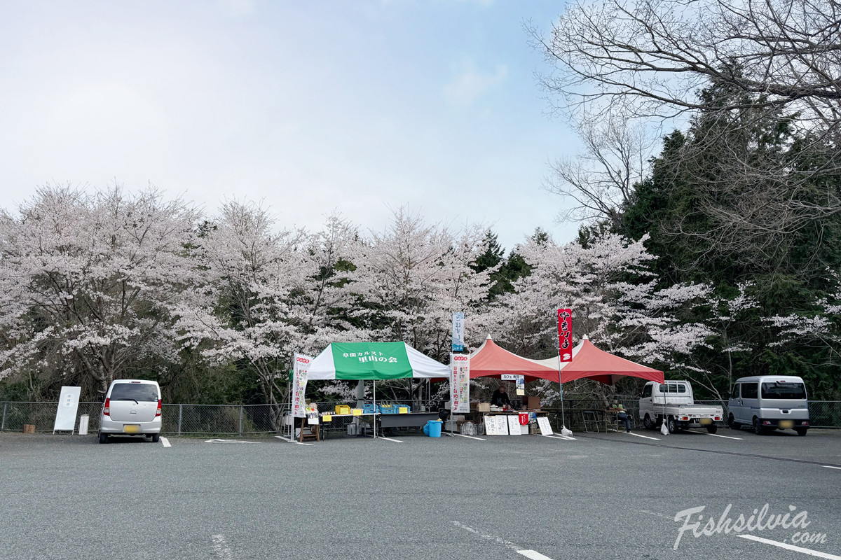 新見市景點推薦：羅生門櫻花公園入口與導覽資訊