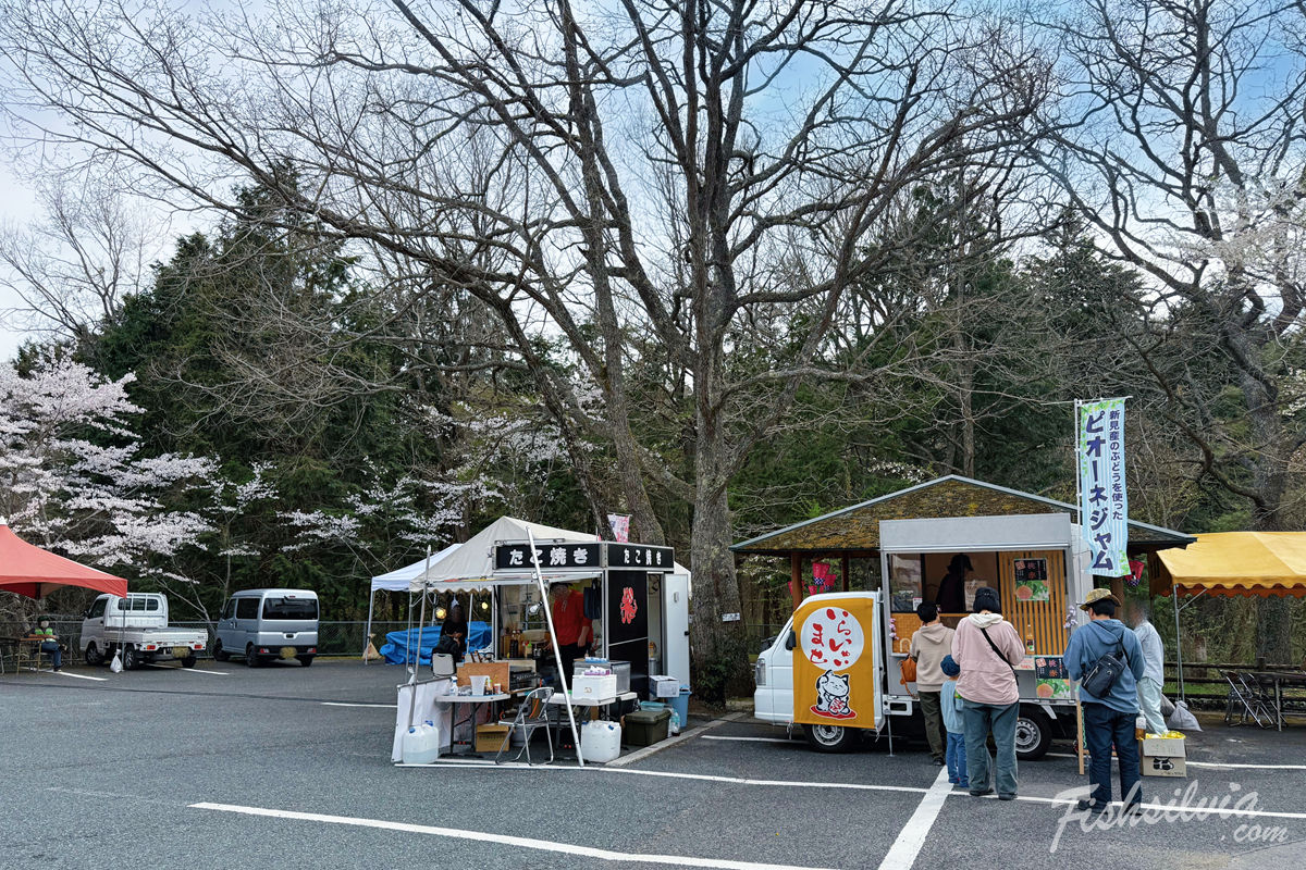 新見市景點推薦：羅生門櫻花公園停車場週末限定美食攤車
