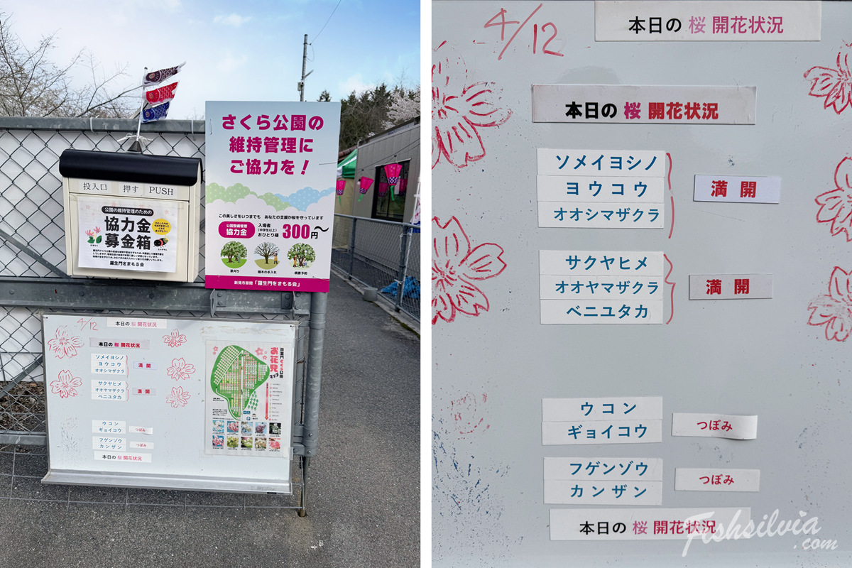 日本岡山景點推薦羅生門櫻花公園入口開花資訊