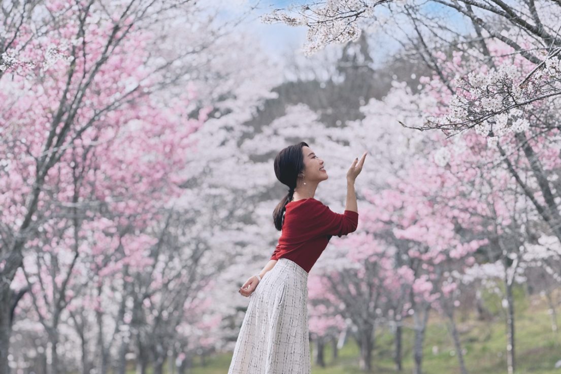 岡山自由行必去：隱藏版櫻花名所「羅生門櫻花公園」絕景隧道