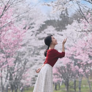 岡山自由行必去：隱藏版櫻花名所「羅生門櫻花公園」絕景隧道