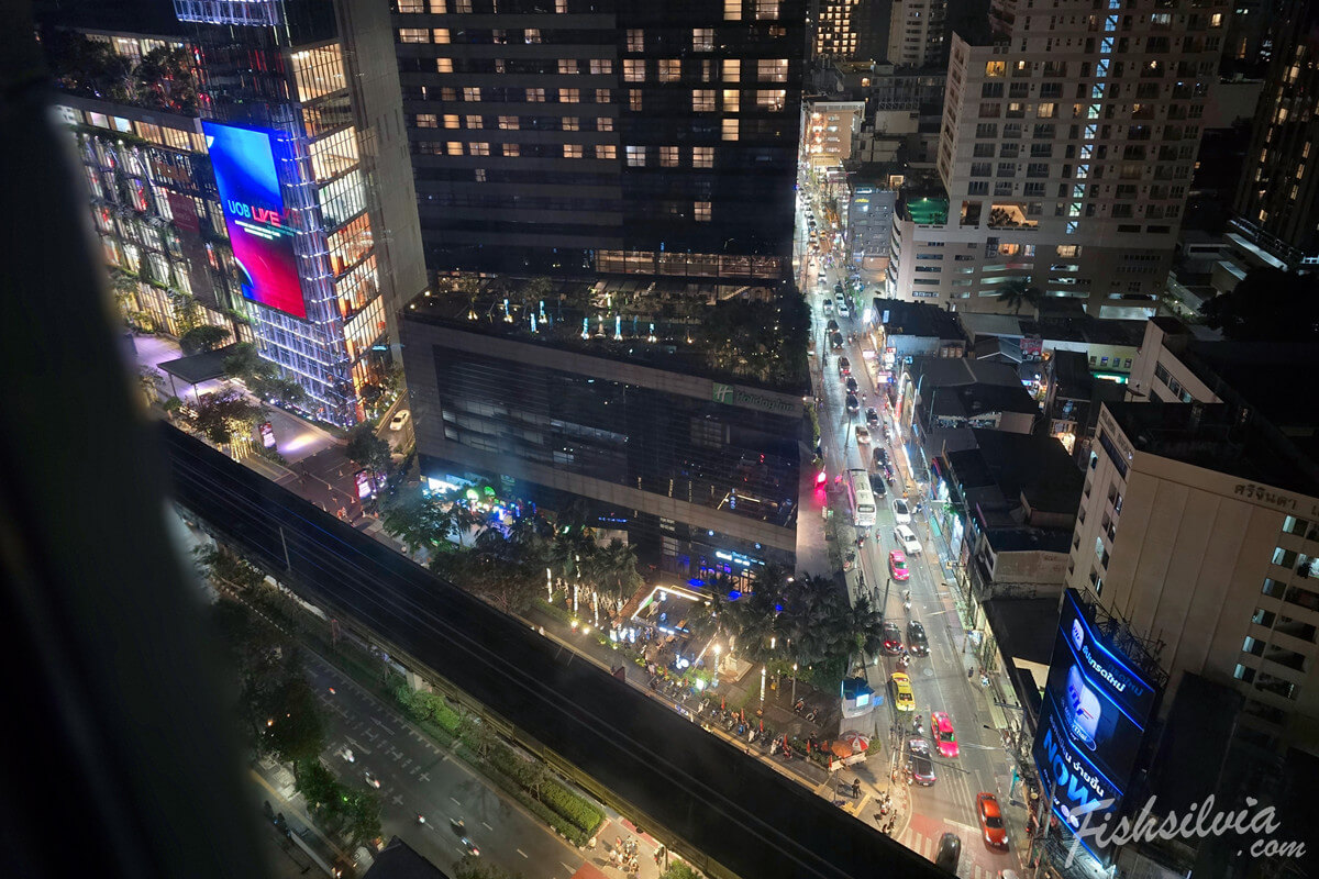 KROMO 飯店窗外夜景，大馬路旁燈火通明安全感十足